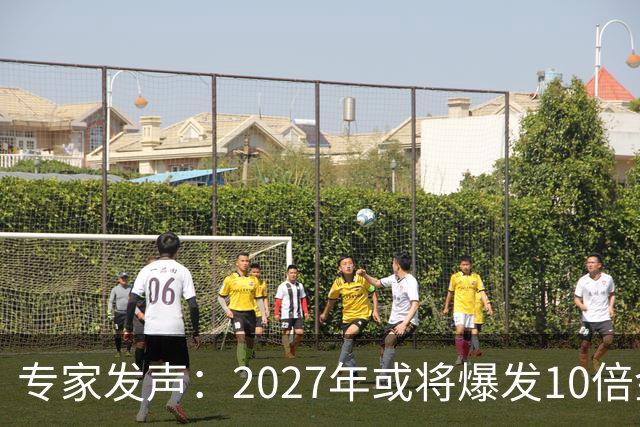 专家发声：2027年或将爆发10倍金融危机 人们抛资产是自救还是踩