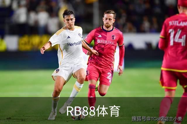 RB88体育企业简介